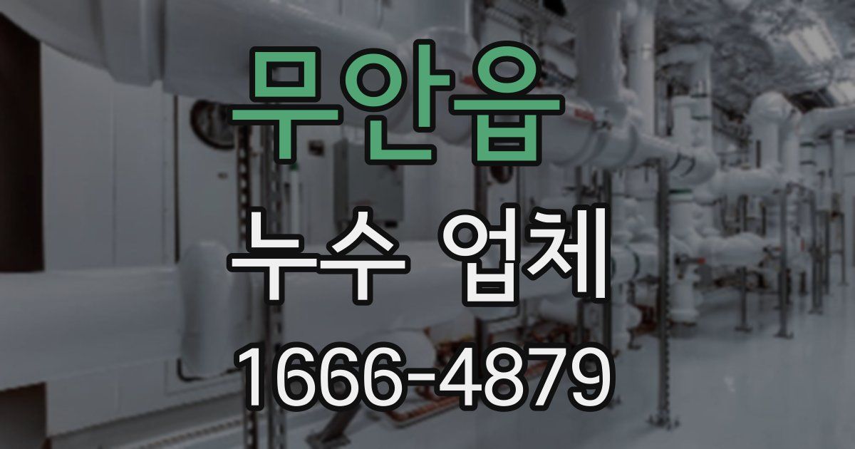 무안읍 누수 업체