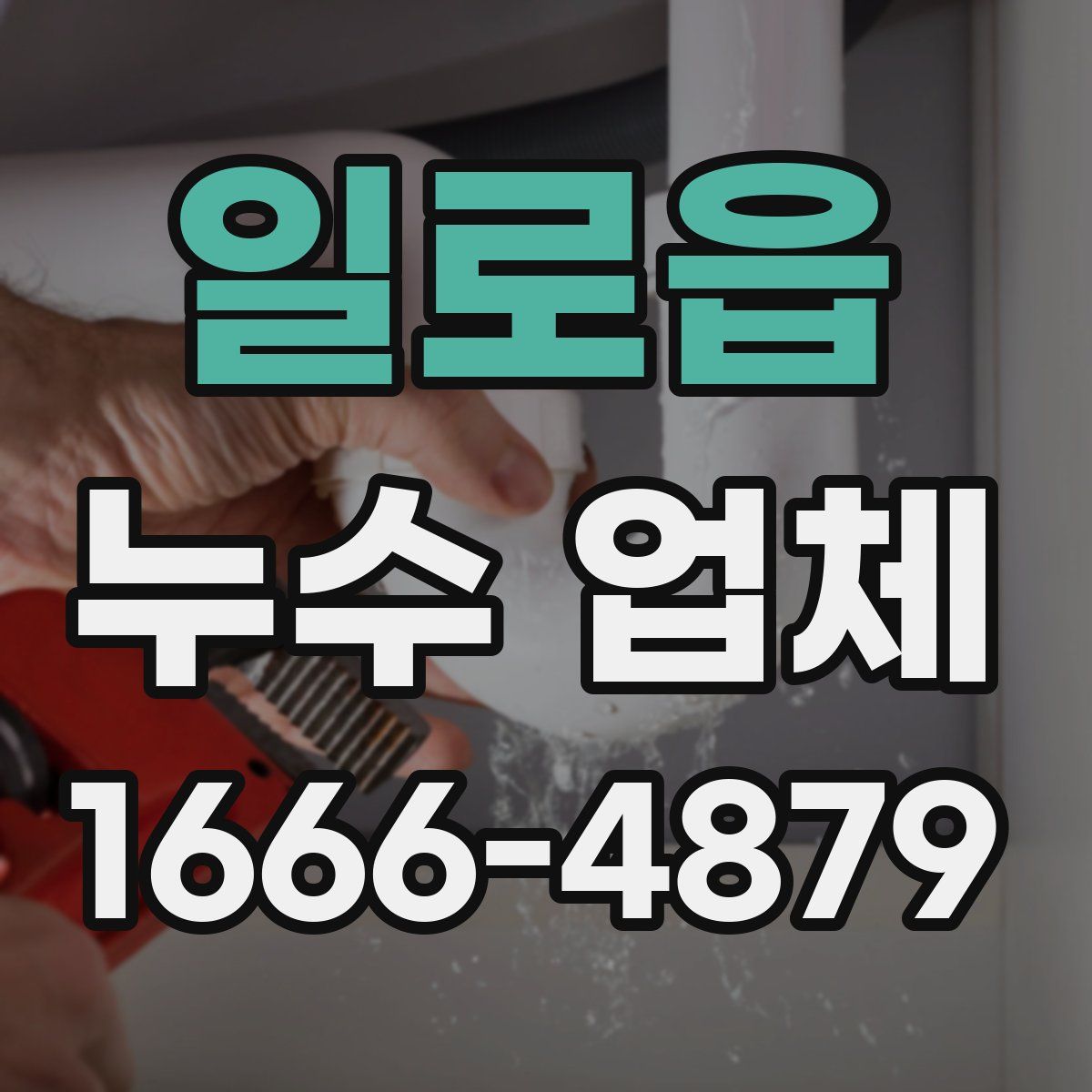 일로읍 누수 업체