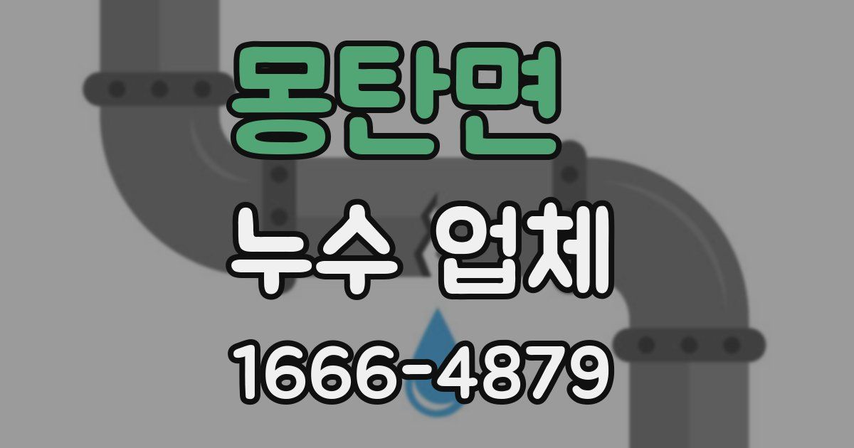 몽탄면 누수 업체