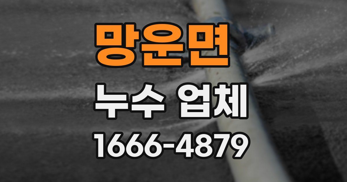 망운면 누수 업체