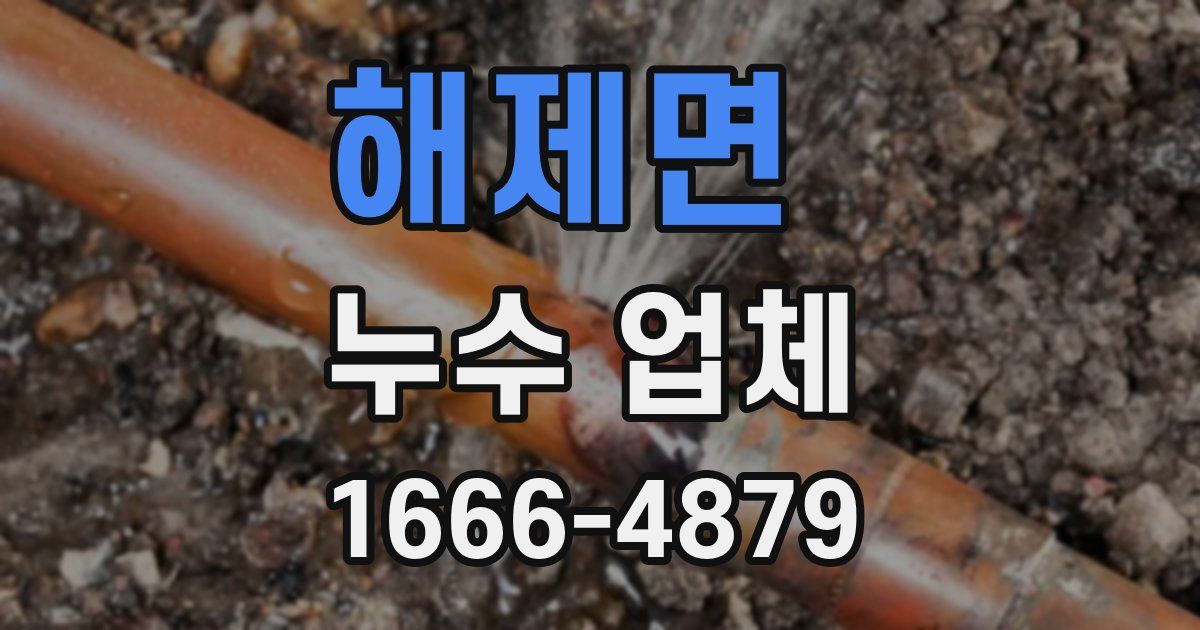 해제면 누수 업체