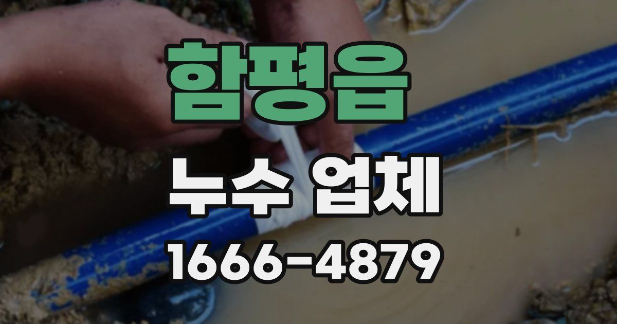 함평읍 누수 업체