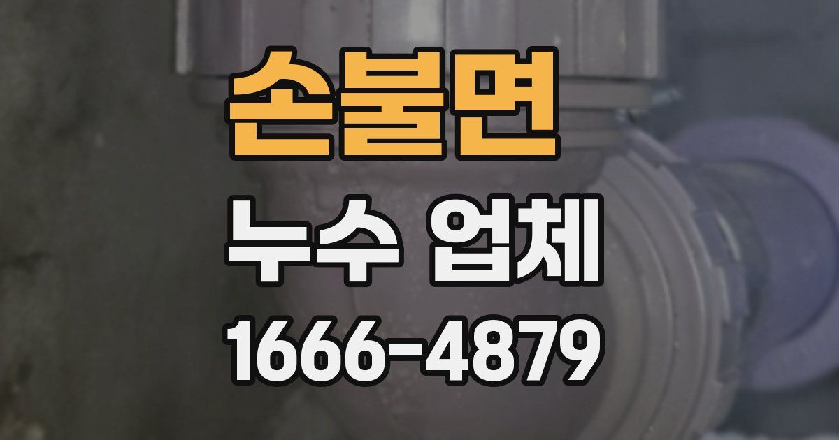 손불면 누수 업체