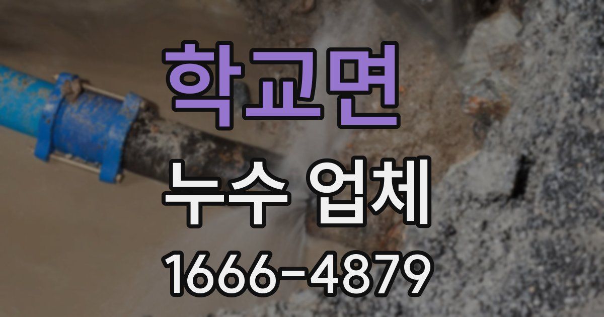 학교면 누수 업체