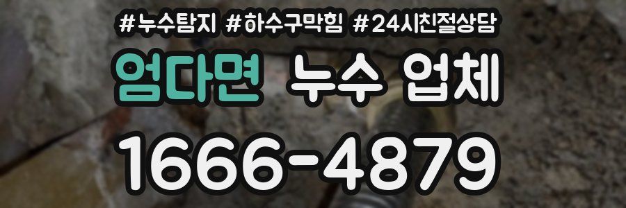 엄다면 누수 업체