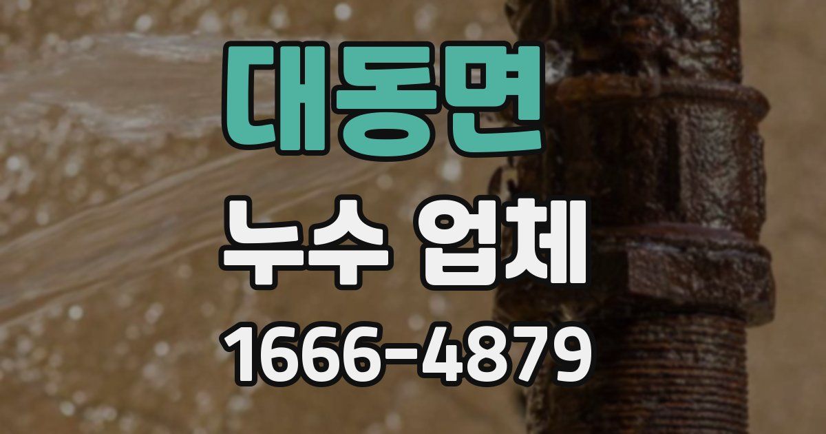 대동면 누수 업체