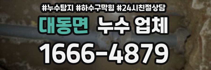 대동면 누수 업체