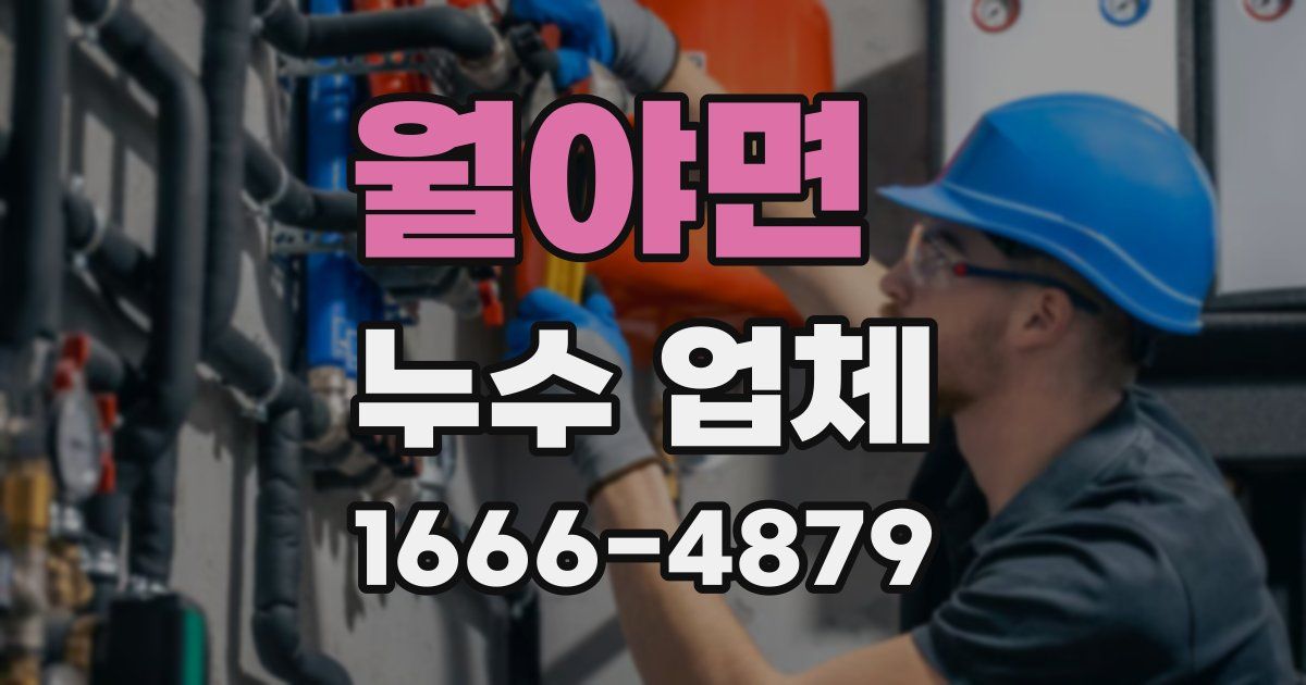 월야면 누수 업체