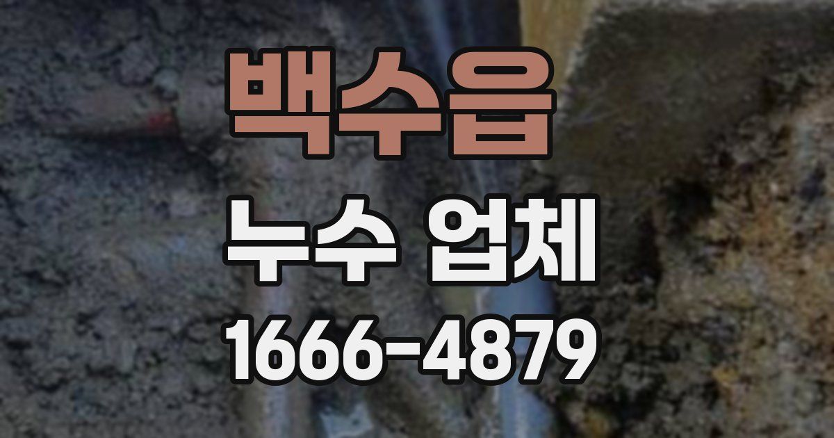 백수읍 누수 업체