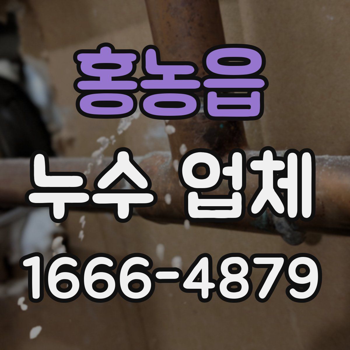 홍농읍 누수 업체