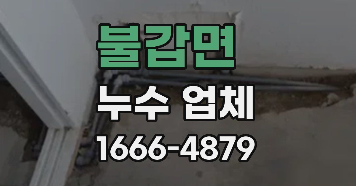 불갑면 누수 업체