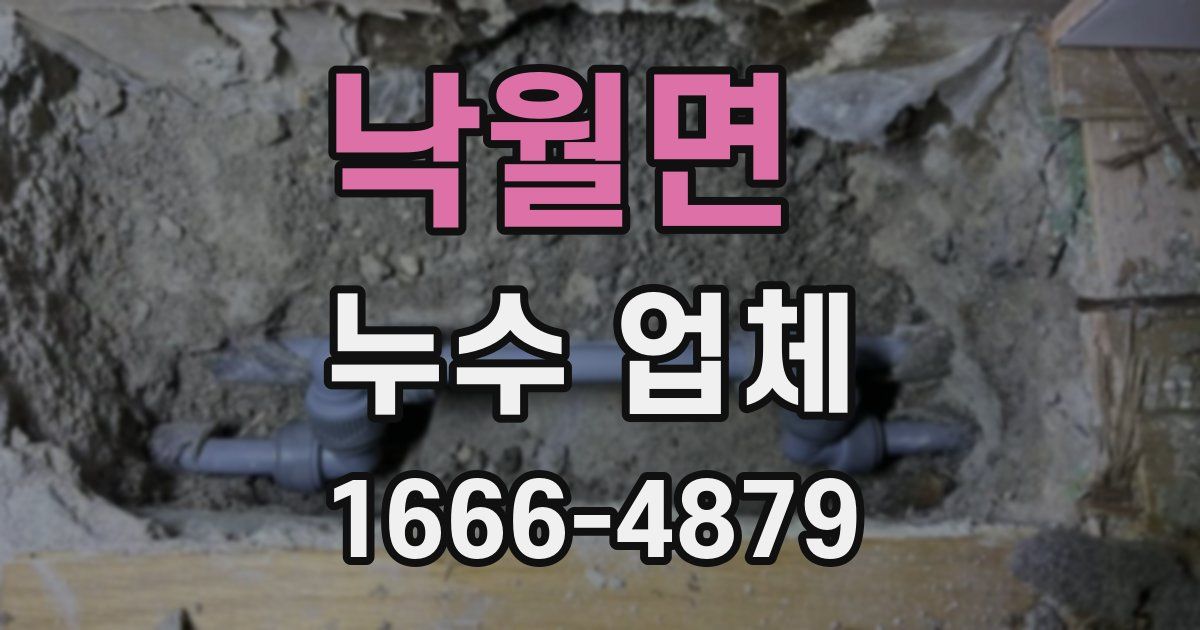 낙월면 누수 업체
