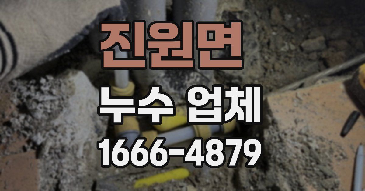 진원면 누수 업체