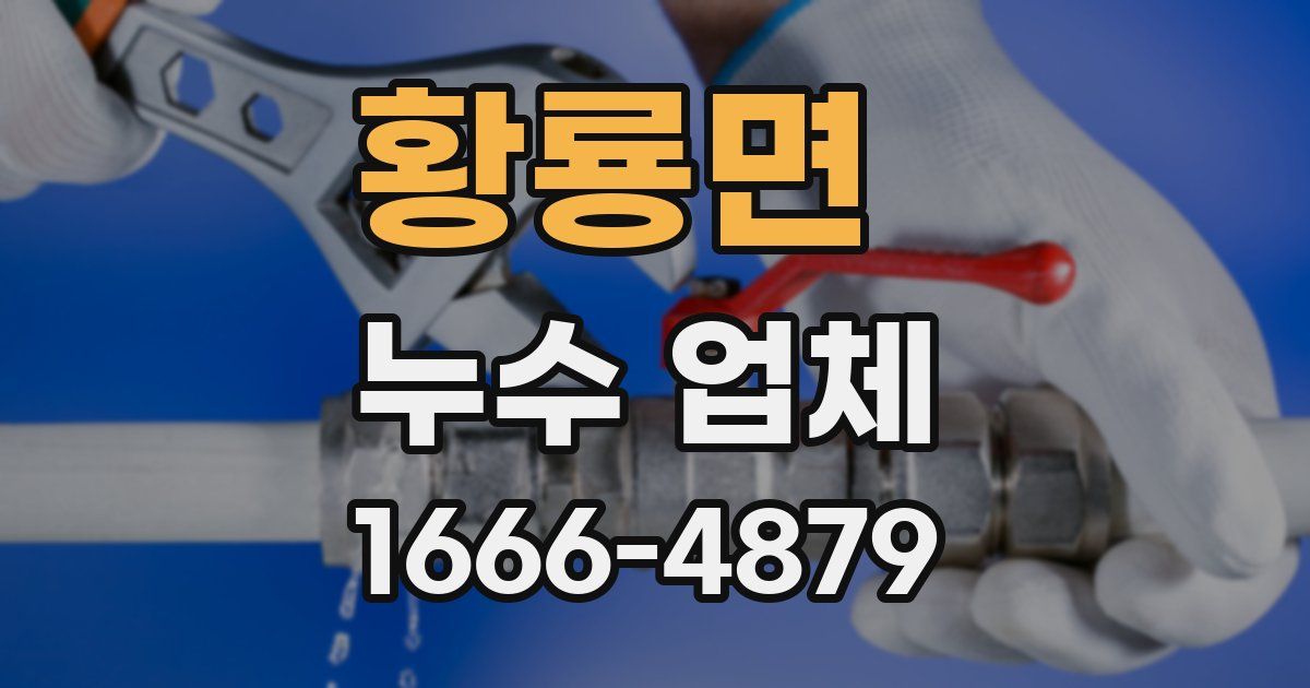 황룡면 누수 업체