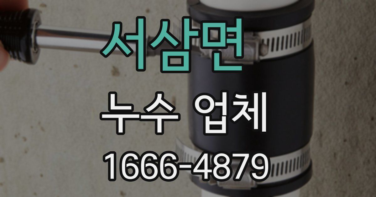 서삼면 누수 업체