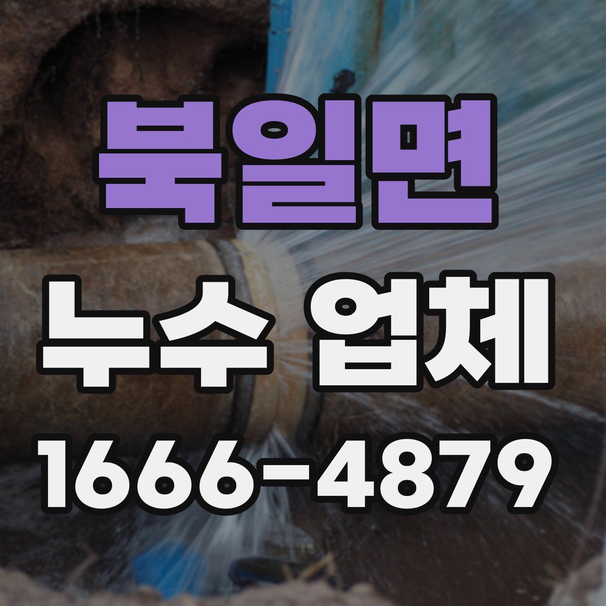북일면 누수 업체