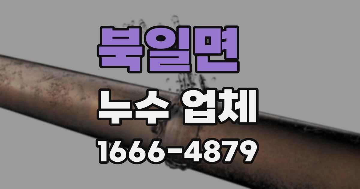 북일면 누수 업체