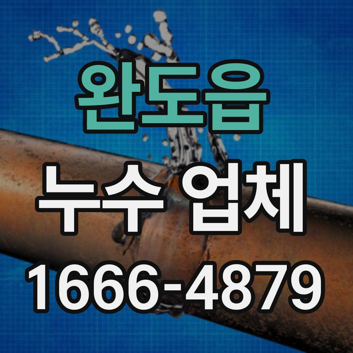 완도읍 누수 업체