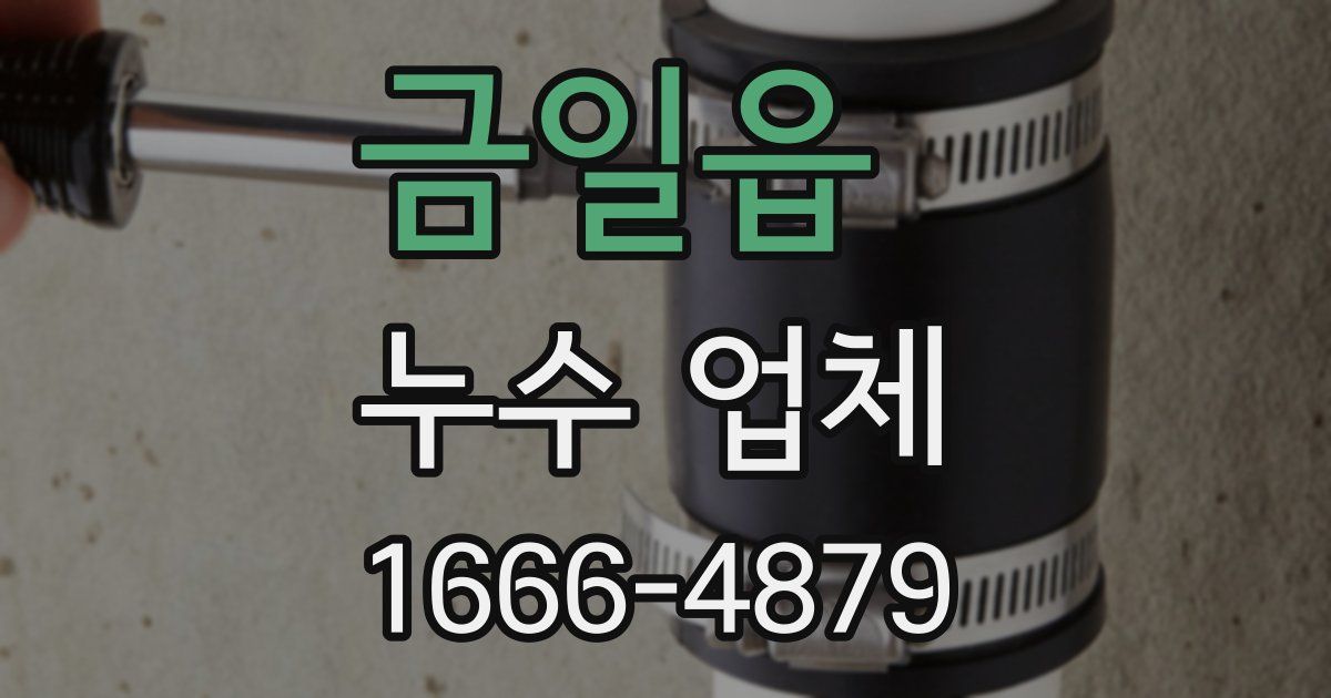 금일읍 누수 업체