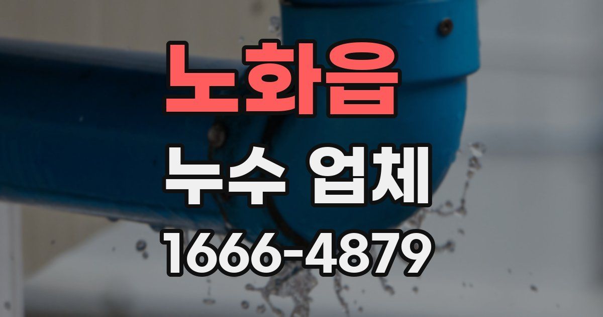 노화읍 누수 업체