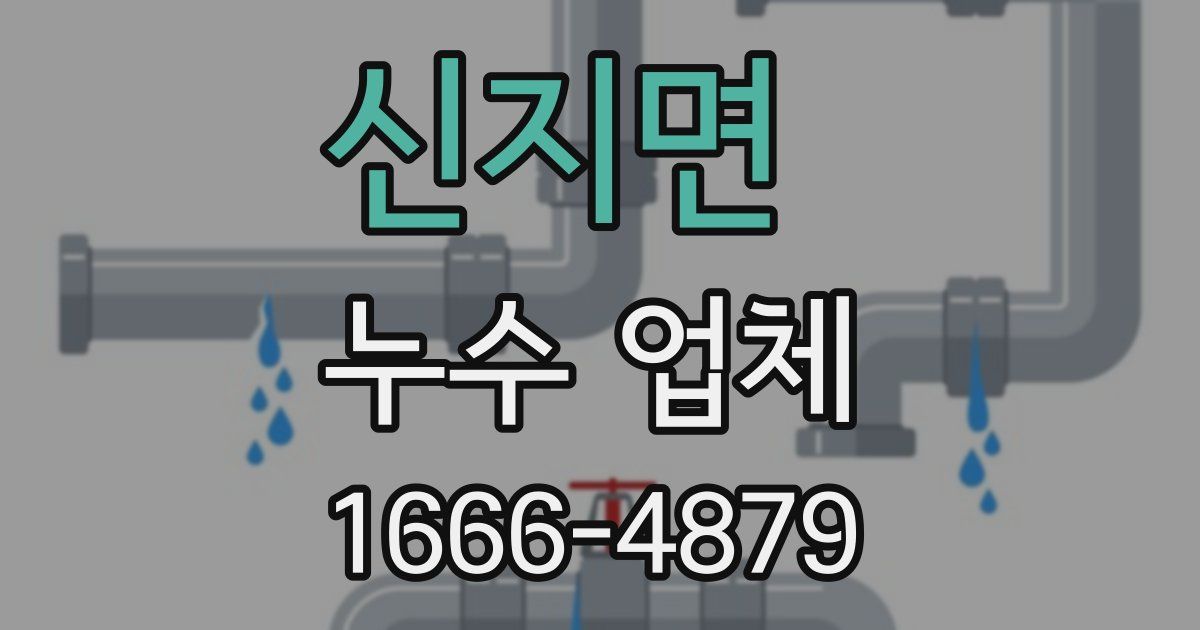 신지면 누수 업체