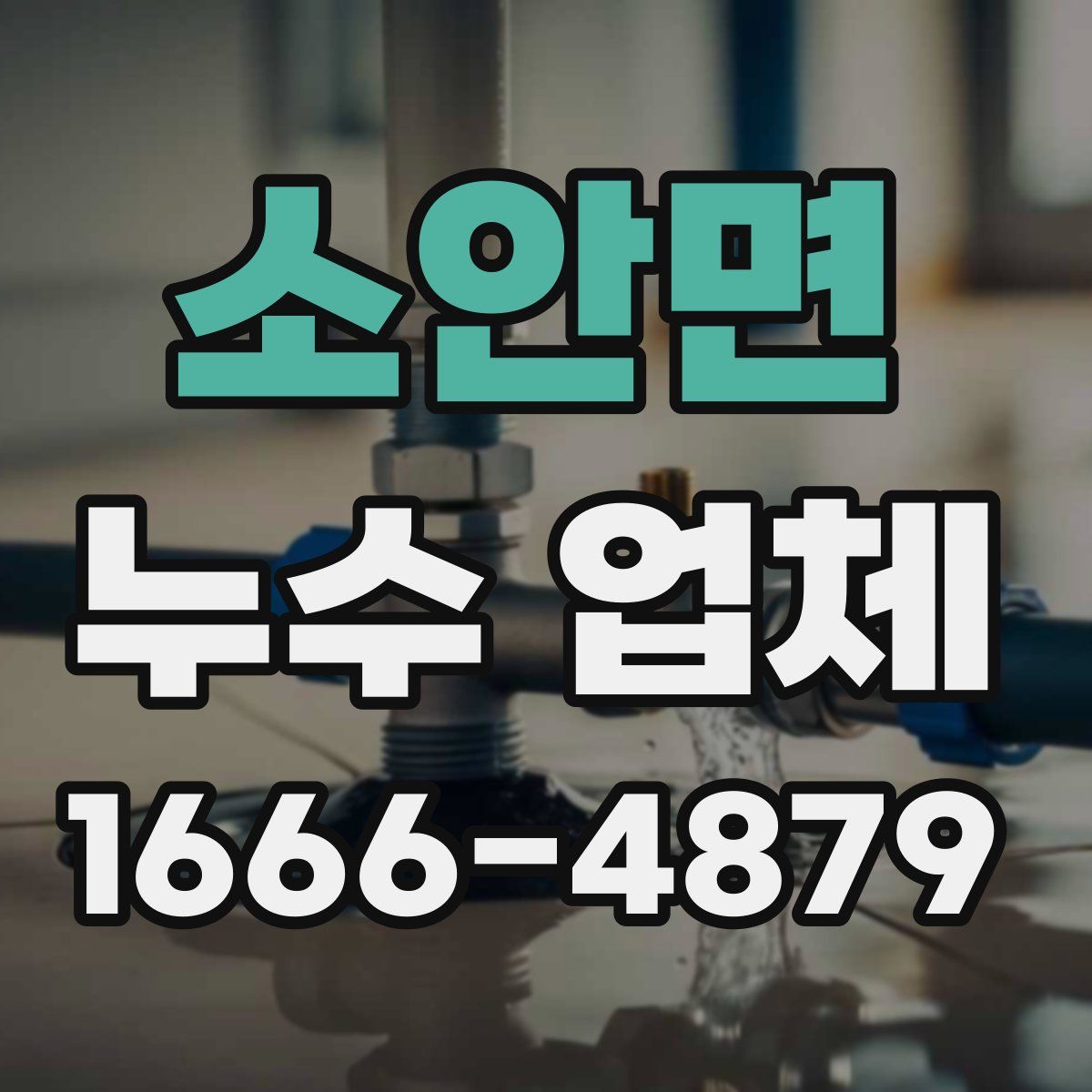 소안면 누수 업체