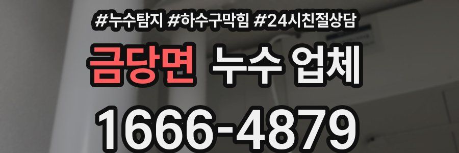 금당면 누수 업체