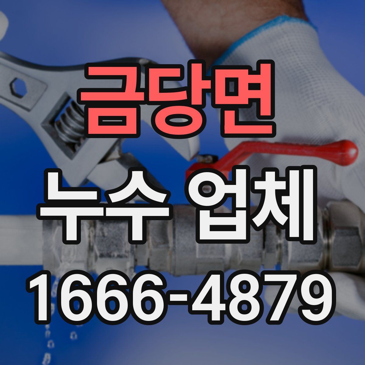 금당면 누수 업체
