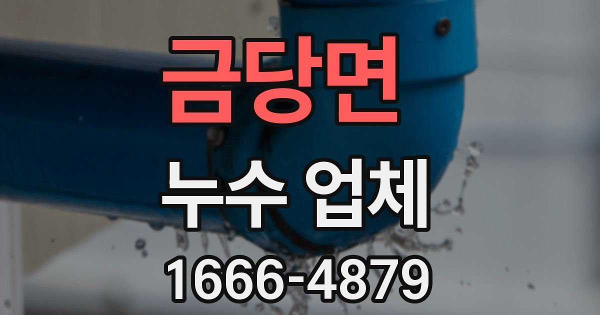 금당면 누수 업체