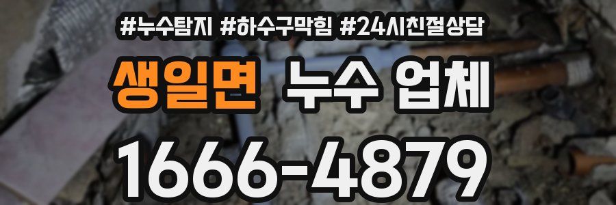 생일면 누수 업체