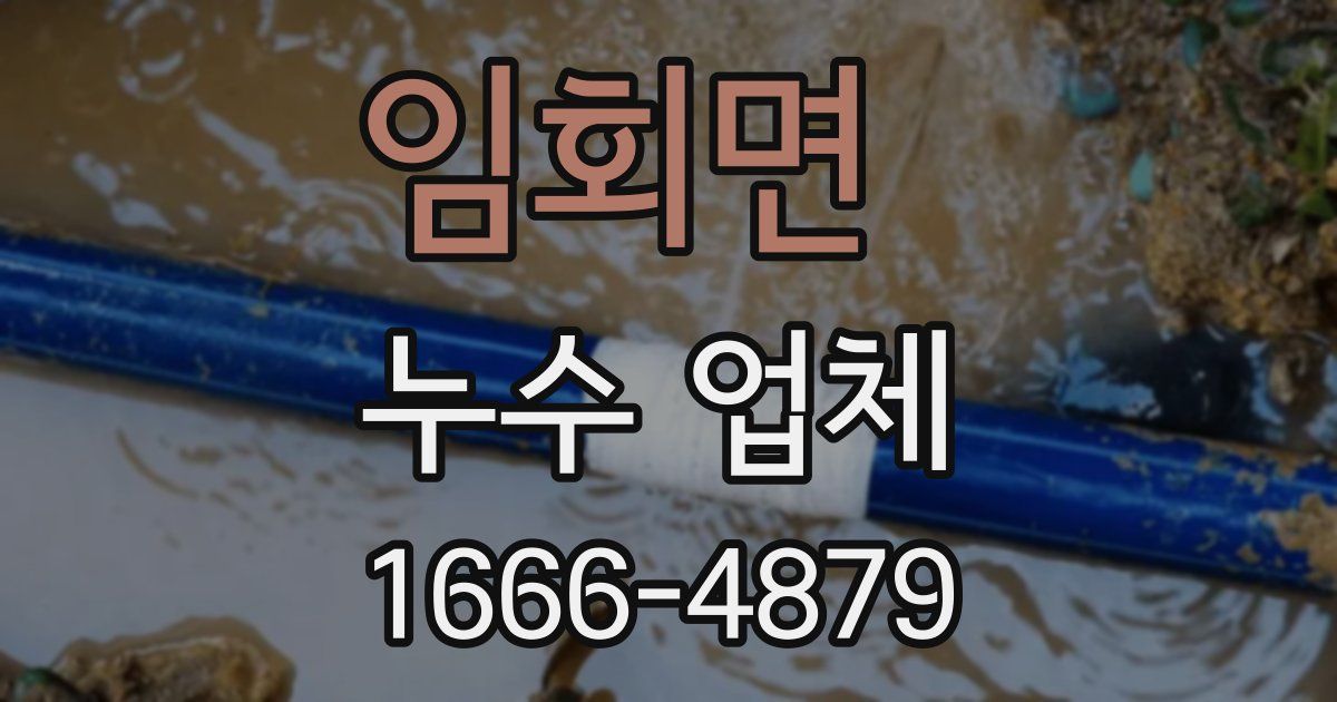 임회면 누수 업체