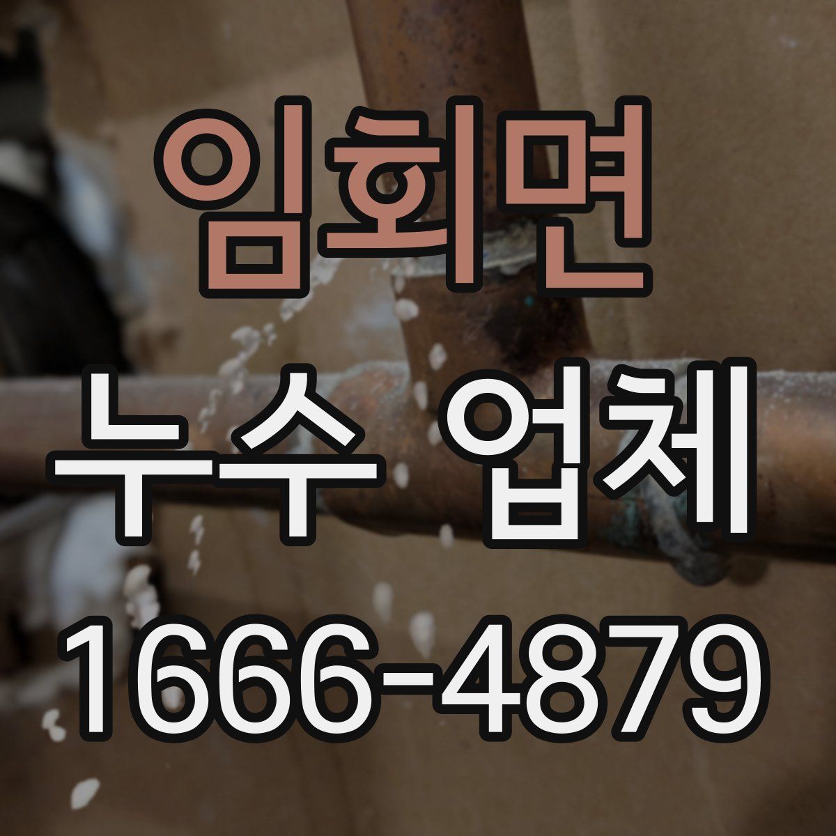 임회면 누수 업체