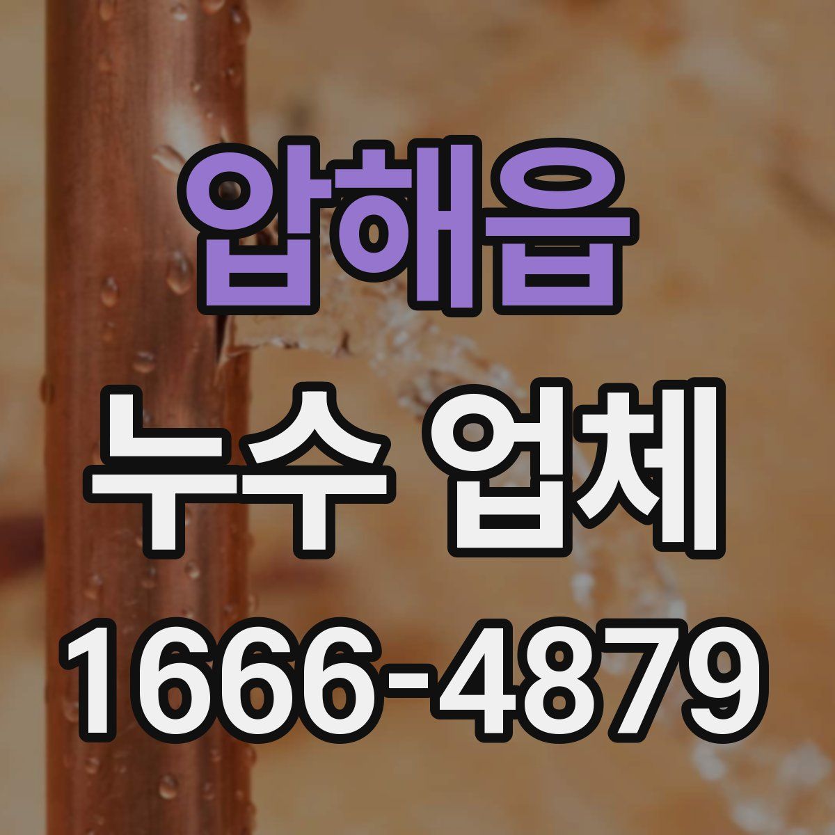 압해읍 누수 업체
