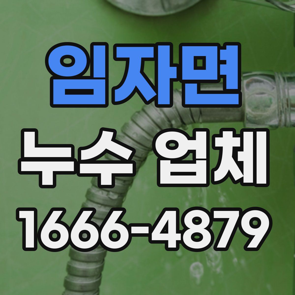 임자면 누수 업체