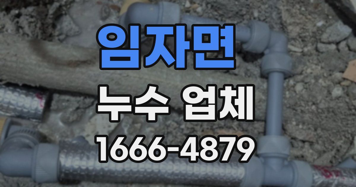 임자면 누수 업체