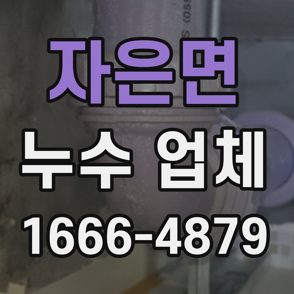 자은면 누수 업체