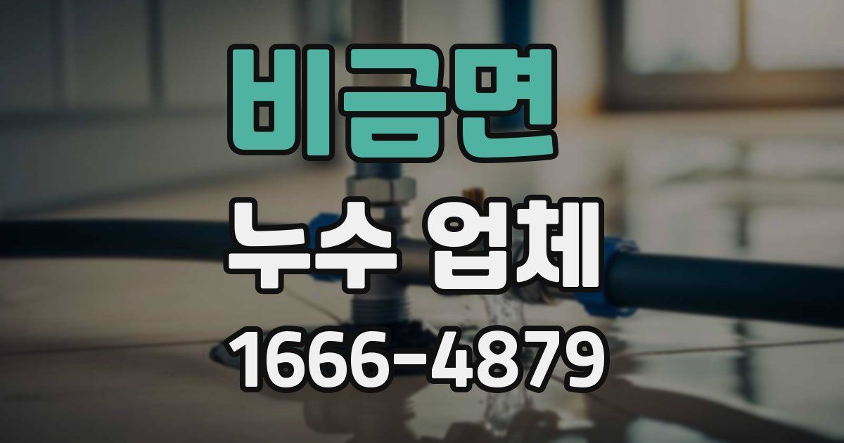 비금면 누수 업체
