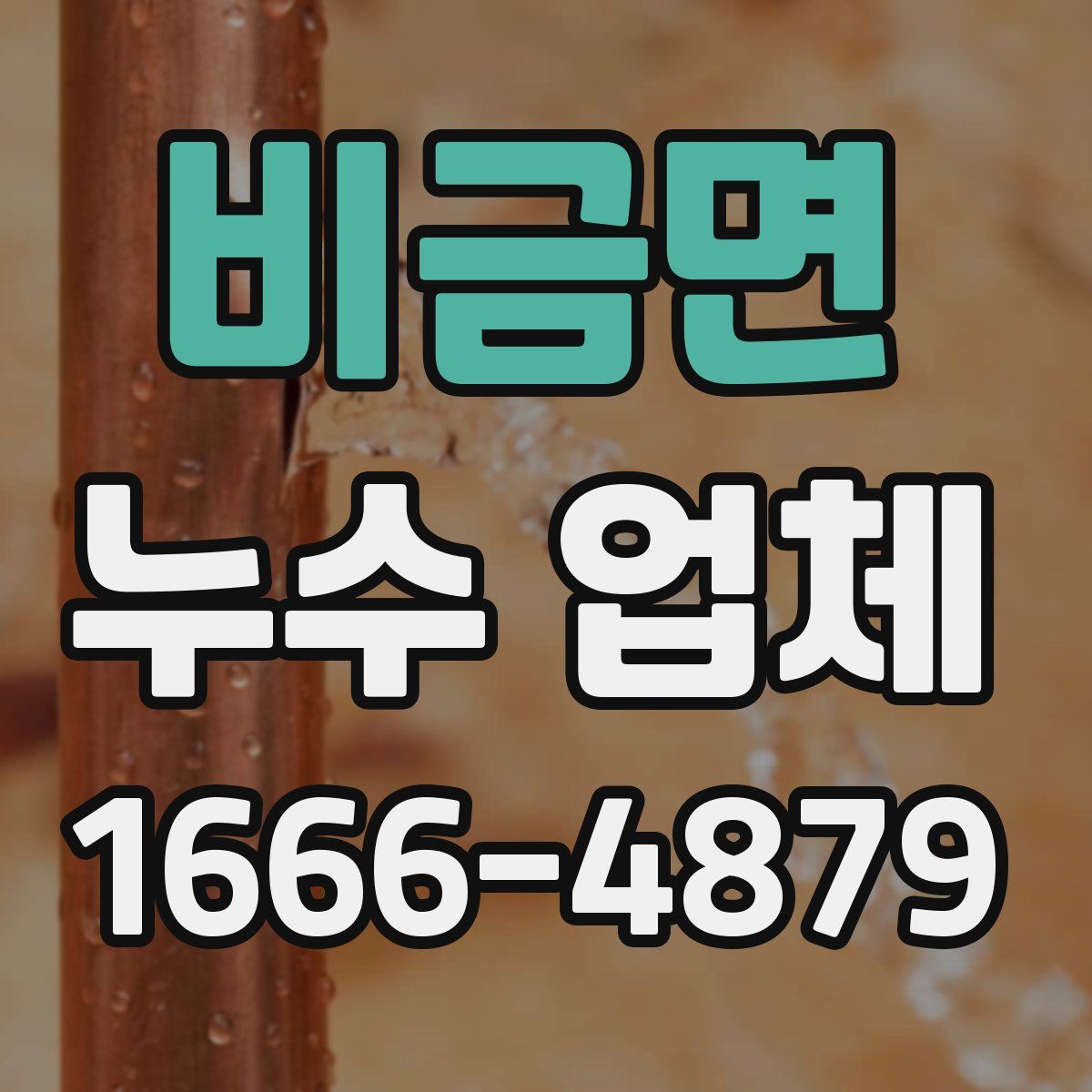 비금면 누수 업체