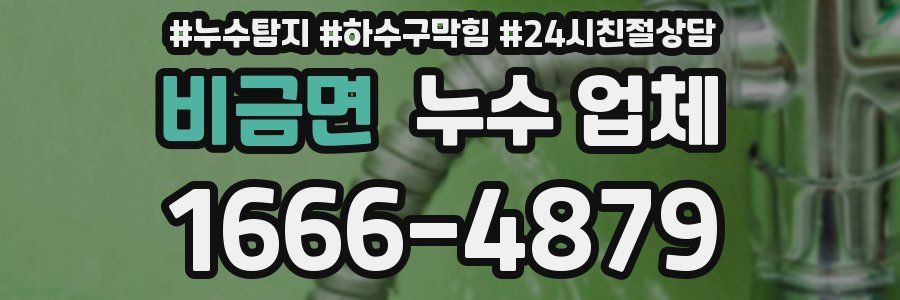 비금면 누수 업체