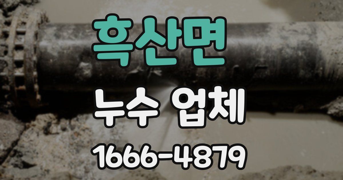 흑산면 누수 업체