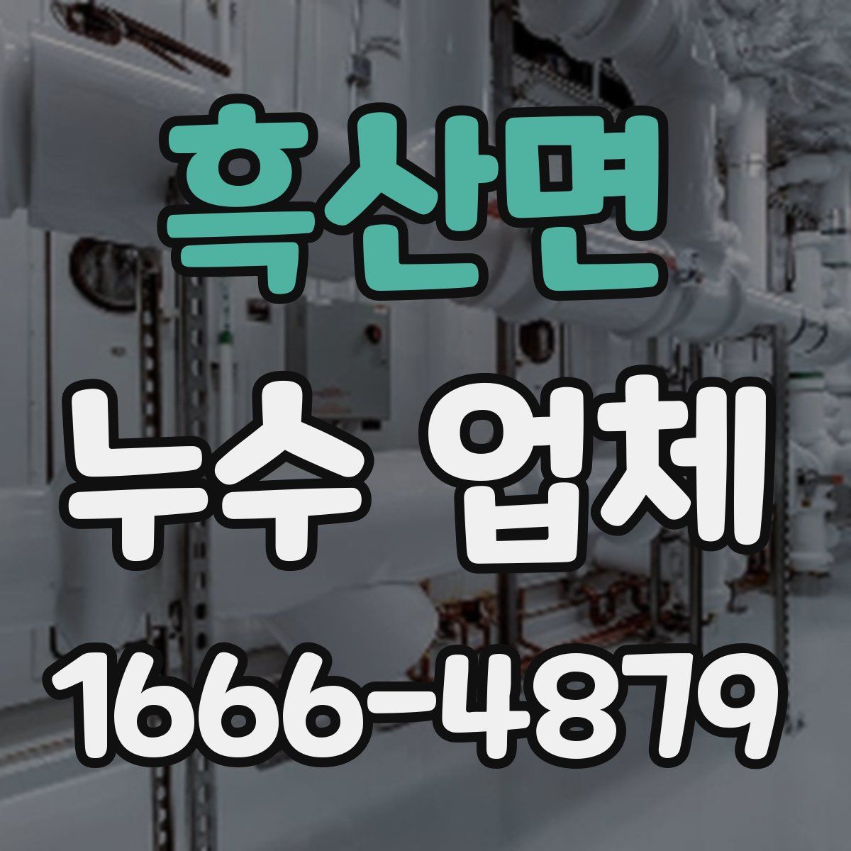 흑산면 누수 업체
