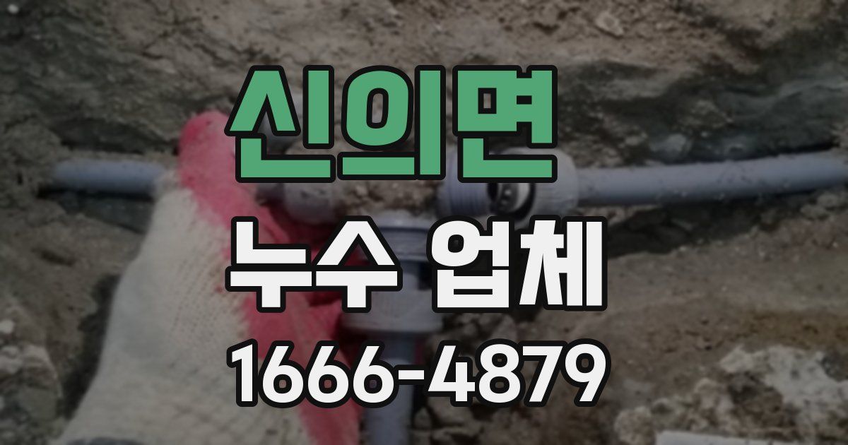 신의면 누수 업체