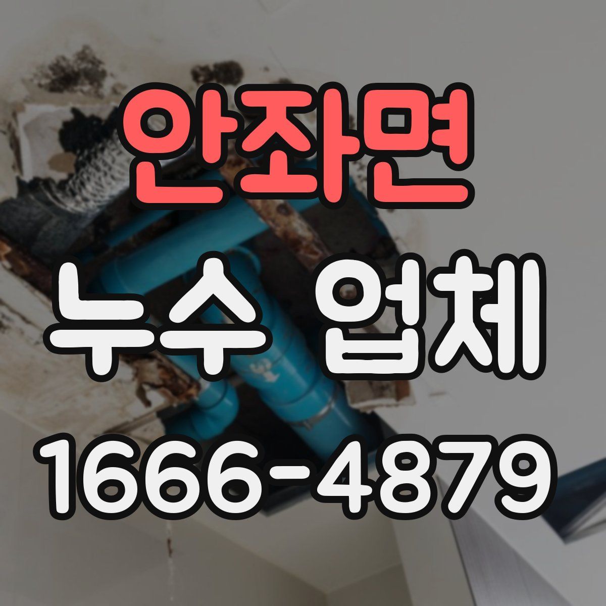 안좌면 누수 업체