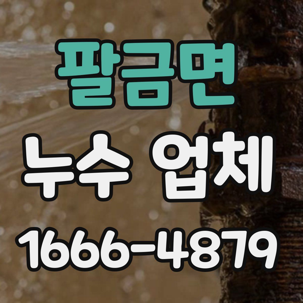 팔금면 누수 업체