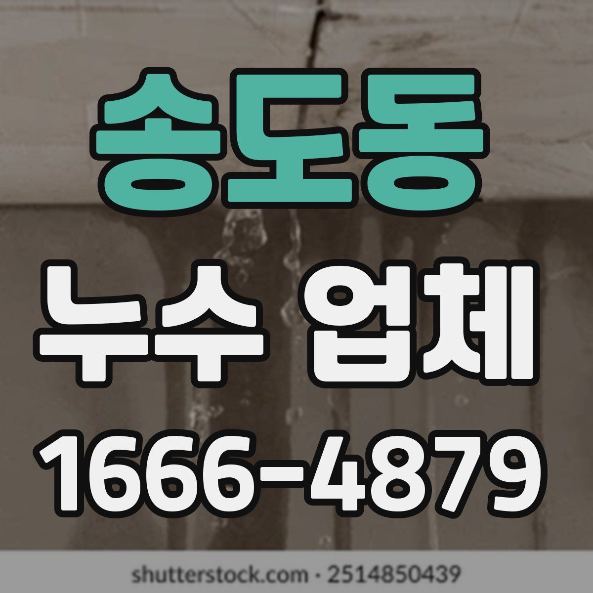 송도동 누수 업체