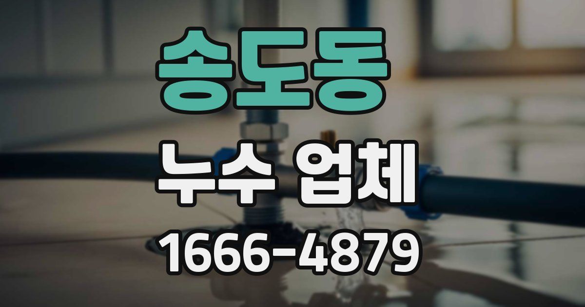 송도동 누수 업체