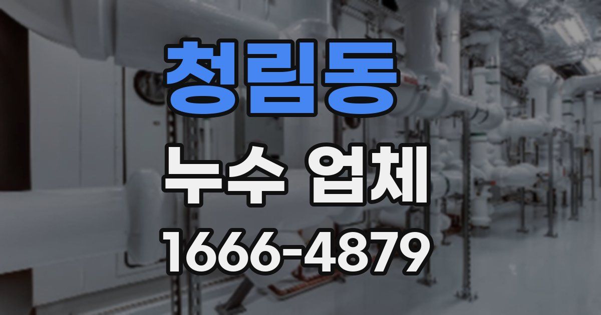 청림동 누수 업체