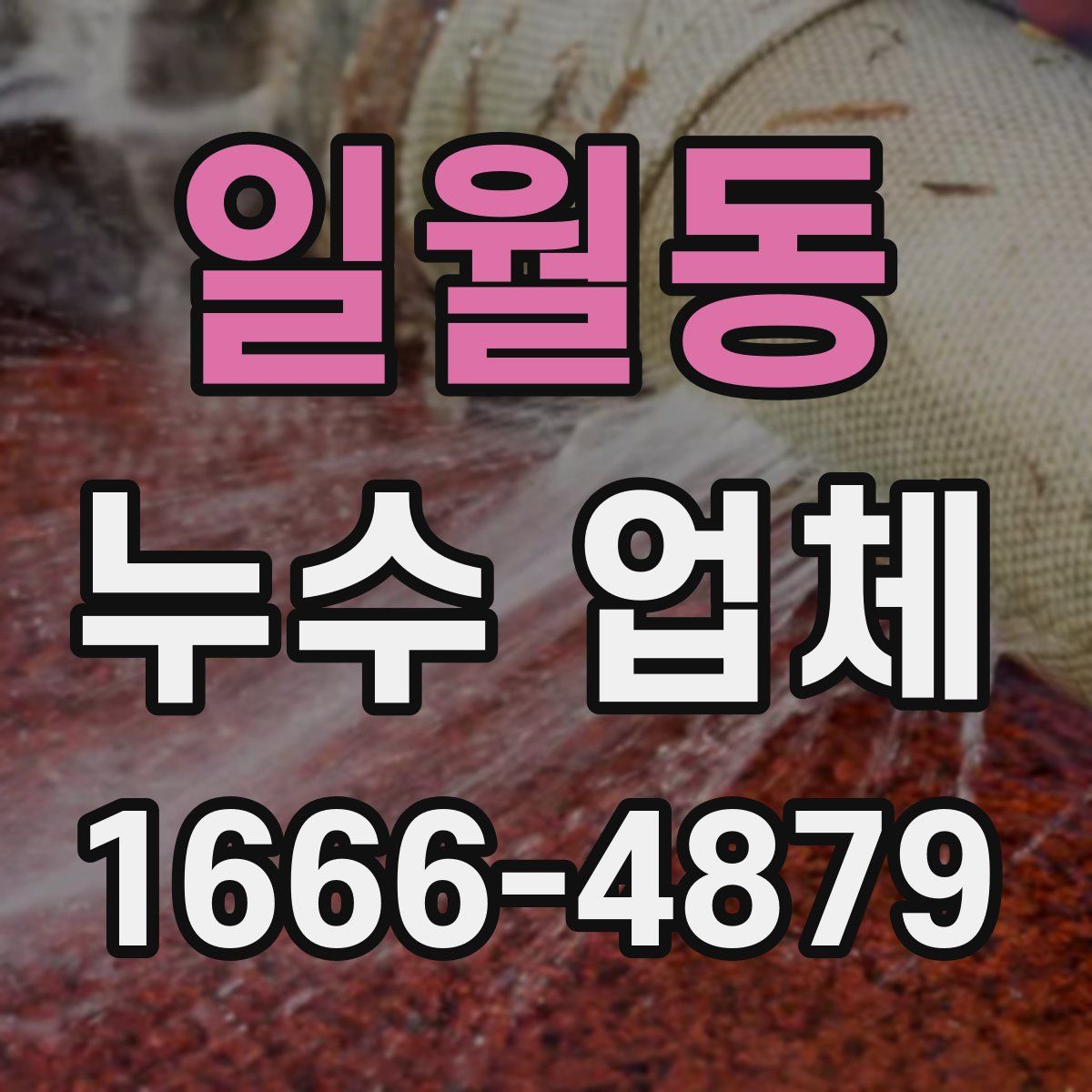 일월동 누수 업체