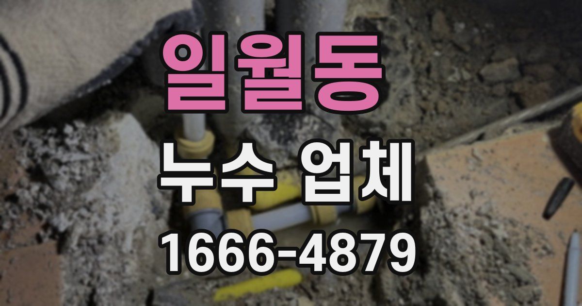 일월동 누수 업체