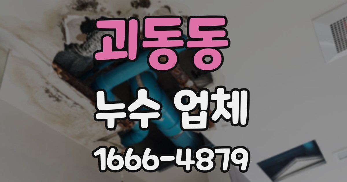 괴동동 누수 업체